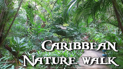 CARIBBEAN NATURE WALK